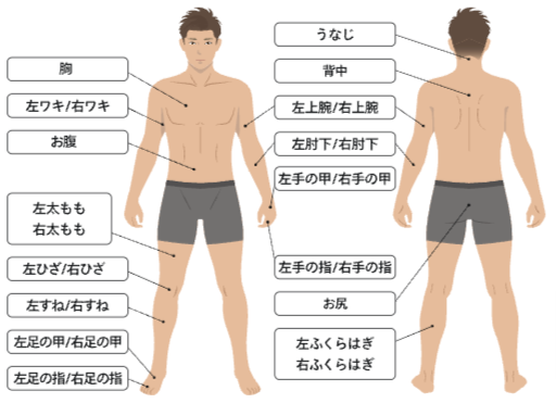 レジーナクリニックオムの全身脱毛部位