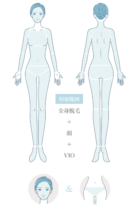 イデア美容皮膚科クリニックプラン3